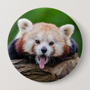 Badge Rond 10 Cm Panda rouge