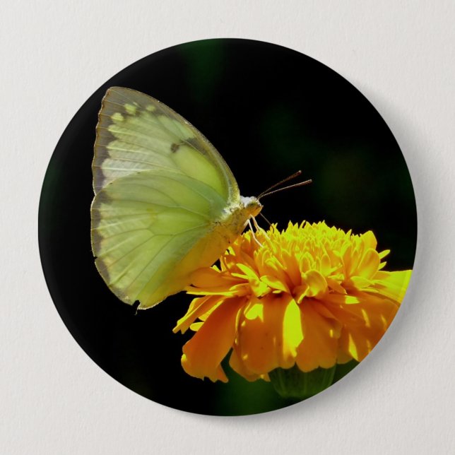 Badge Rond 10 Cm Papillon sur le Pin de bouton de fleur (Devant)