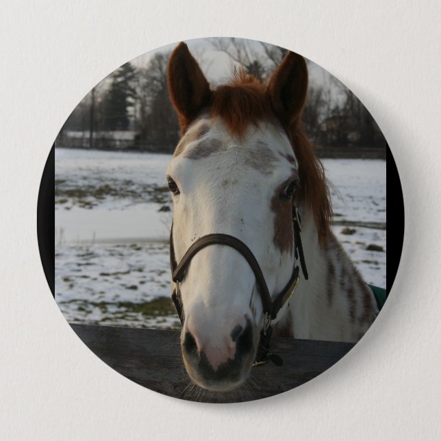 Badge Rond 10 Cm Peignez le bouton (Devant)