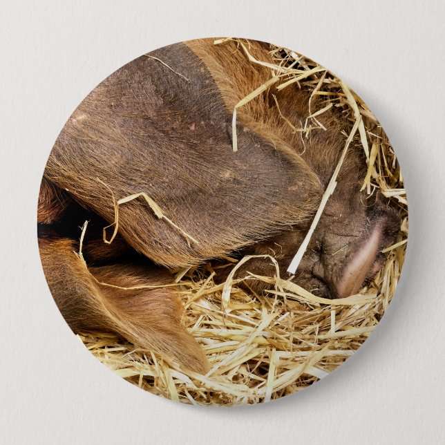 BADGE ROND 10 CM PIG (Devant)