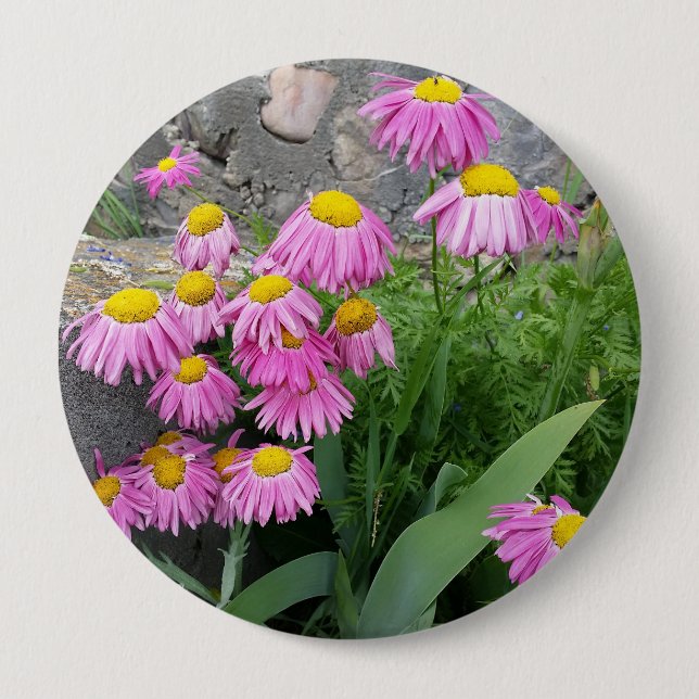 Badge Rond 10 Cm Pink Peint marguerite Fleurs Nature photographie (Devant)