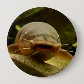 Badge Rond 10 Cm Poisson-chat électrique