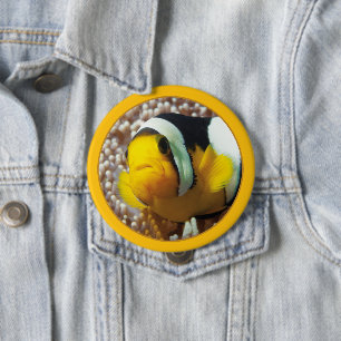Badge Rond 10 Cm Poisson-clown - Gros plan ! Design photographique