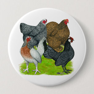 Badge Rond 10 Cm Quatuor Bantam Hen