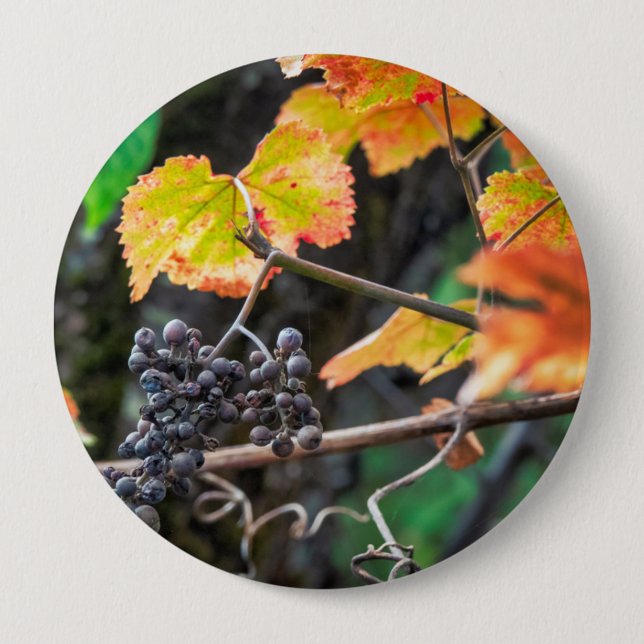 Badge Rond 10 Cm Ripe Isabella (Devant)