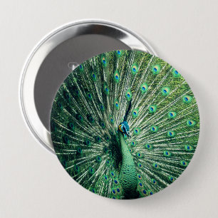 Badge Rond 10 Cm Strut Peacock