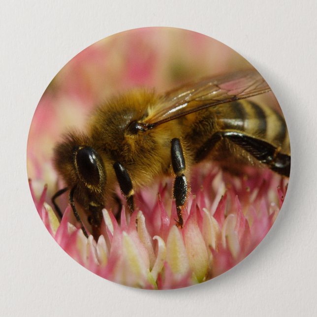 Badge Rond 10 Cm Western Honey Bee Macro (Devant)