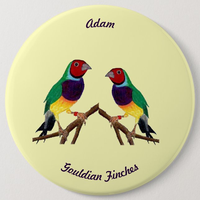 Badge Rond 15,2 Cm ADAM ~ Gouldian Finch ~ Personalised ~ (Devant)