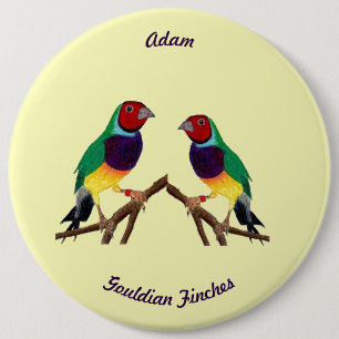 Badge Rond 15,2 Cm ADAM ~ Gouldian Finch ~ Personnalisé ~