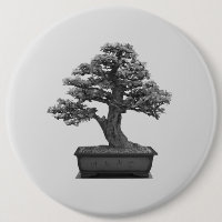 arbre de bonsaïs