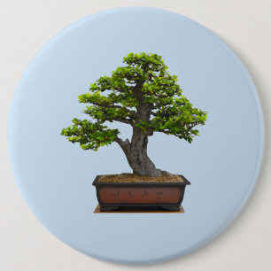 Badge Rond 15,2 Cm arbre de bonsaïs