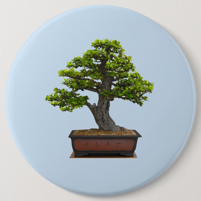 Badge Rond 15,2 Cm arbre de bonsaïs (Devant)
