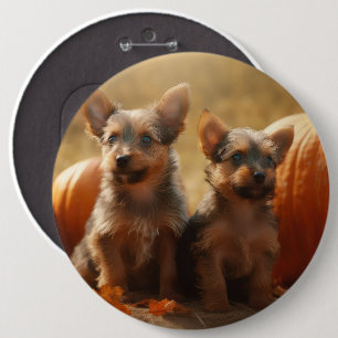 Badge Rond 15,2 Cm Australien Terrier Chiot Automne Citrouille de pla