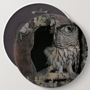 Badge Rond 15,2 Cm Barred Owl - Voici ce que vous regardez!