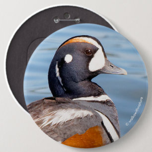 Badge Rond 15,2 Cm Beau canard arlequin sur le rocher
