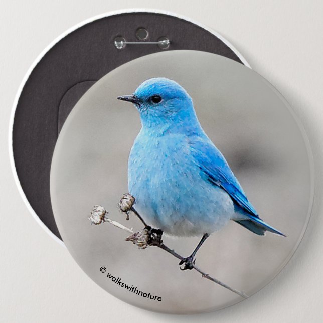 Badge Rond 15,2 Cm Beau oiseau bleu de montagne (Devant & derrière)
