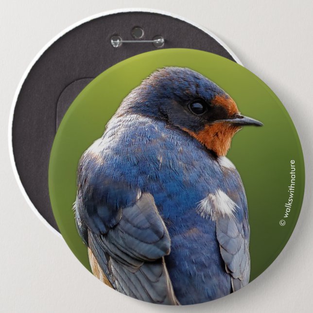 Badge Rond 15,2 Cm Beautiful Barn Swallow (Devant & derrière)