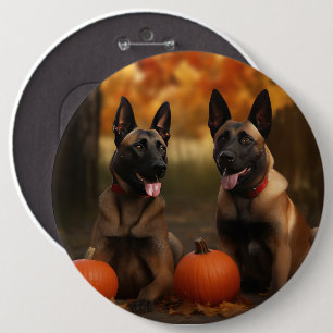 Badge Rond 15,2 Cm Belge Malinoi Puppy Automne Citrouille de plaisir