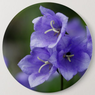 Badge Rond 15,2 Cm Belle Campanula Bellflower