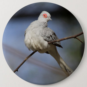 Badge Rond 15,2 Cm Belle douceur Diamond Dove