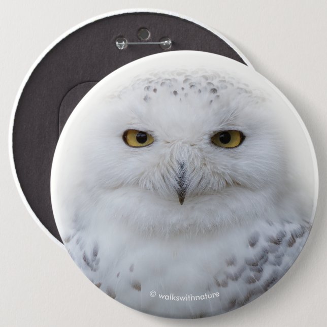Badge Rond 15,2 Cm Belle, Dreamy et Serene Snowy Owl (Devant & derrière)