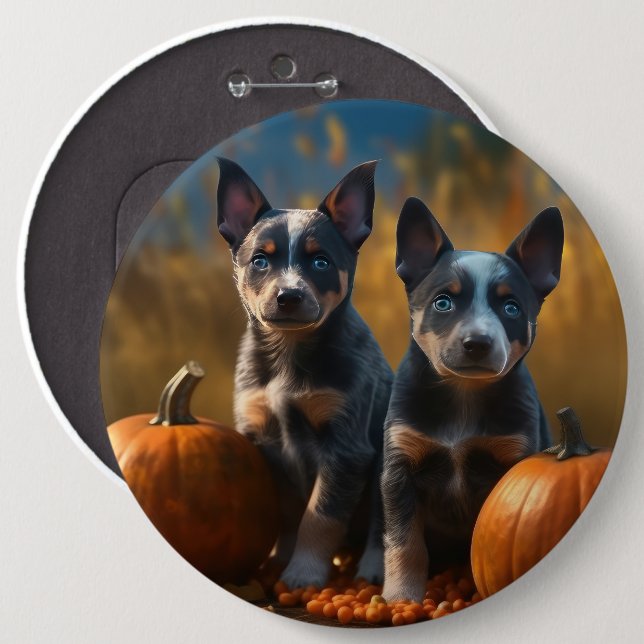Badge Rond 15,2 Cm Blue Heeler Chiot Automne Citrouille de plaisir (Devant & derrière)