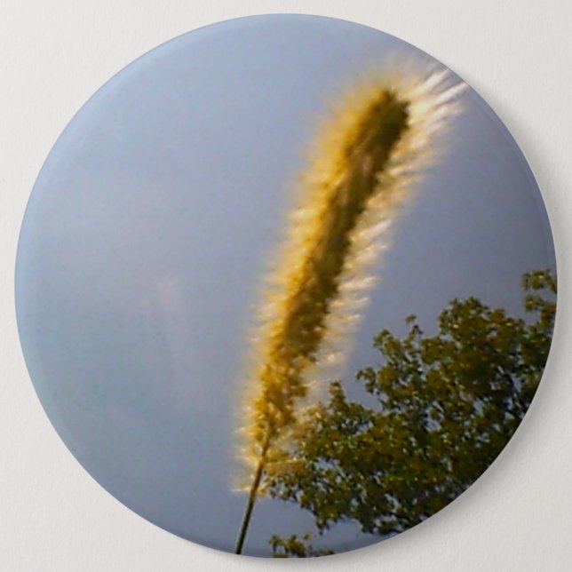 Badge Rond 15,2 Cm Blue Sky Summer Foliing (Devant)