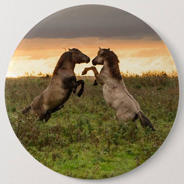 Badge Rond 15,2 Cm Bouton caracolant de chevaux sauvages (Devant)