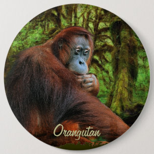 Badge Rond 15,2 Cm Bouton d'art Orangoutan sauvage et Primate de la J