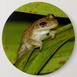 Badge Rond 15,2 Cm Bouton de sourire de grenouille d'arbre