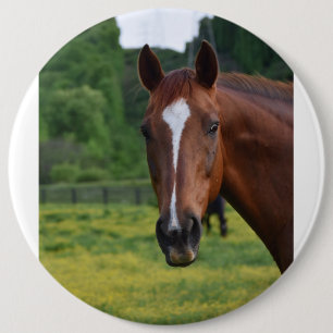 Badge Rond 15,2 Cm bouton face