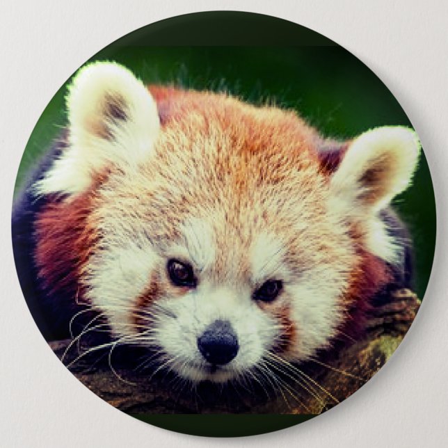 Badge Rond 15,2 Cm Bouton Panda rouge (Devant)