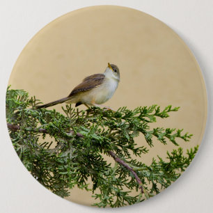 Badge Rond 15,2 Cm Carte postale du moineau