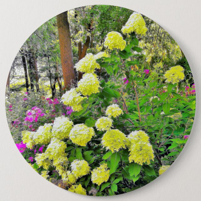 Badge Rond 15,2 Cm Chartreuse Vert Limelight Hydrangea Garden (Devant)