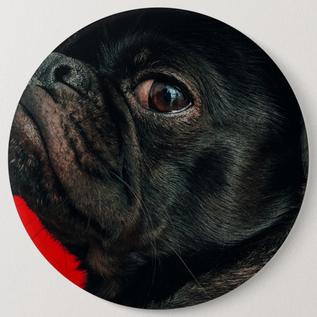 Badge Rond 15,2 Cm chien de rojo (Devant)