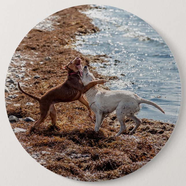 Badge Rond 15,2 Cm Chiens sur la plage (Devant)