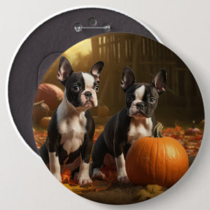 Badge Rond 15,2 Cm Chiots Boston Terrier Délice d'Automne Citrouille