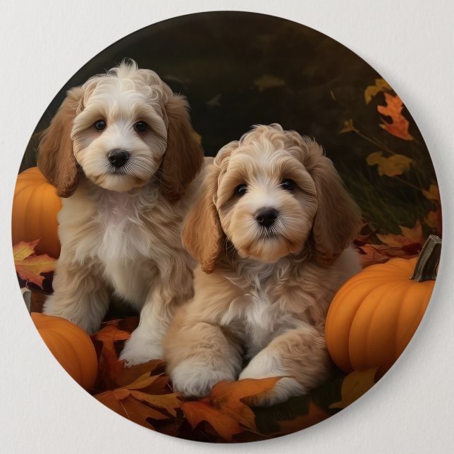 Badge Rond 15,2 Cm Chiots Cockapoo Délice d'Automne Citrouille  (Devant)