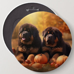 Badge Rond 15,2 Cm Chiots Mastiff Tibétain Délice d'Automne Citrouill