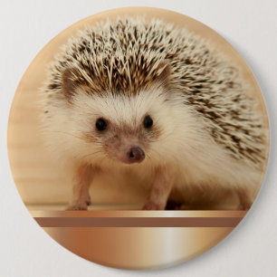 Badge Rond 15,2 Cm Cute Photographic Hedgehog Button Pin
