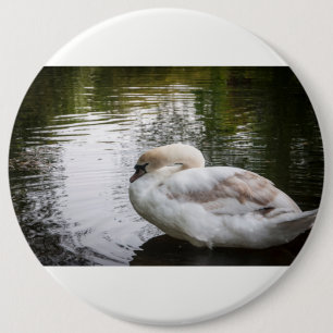 Badge Rond 15,2 Cm Cygne blanc