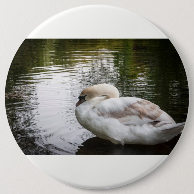 Badge Rond 15,2 Cm Cygne blanc (Devant)