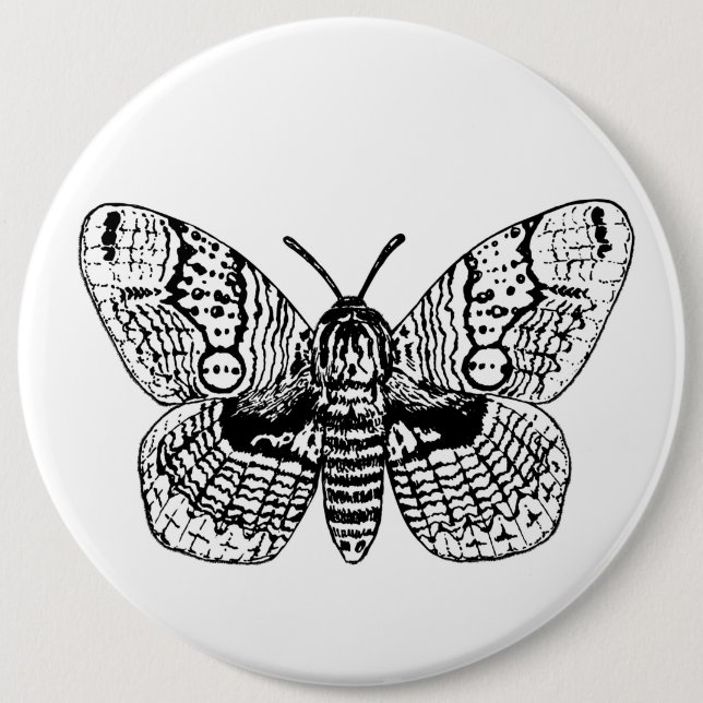 Badge Rond 15,2 Cm Dessin Brahmin moth (Devant)