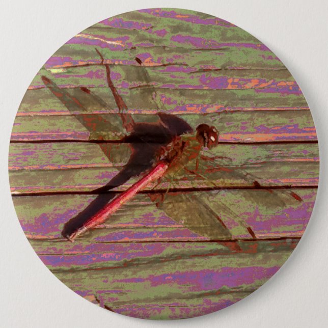 Badge Rond 15,2 Cm Dragonfly (Devant)