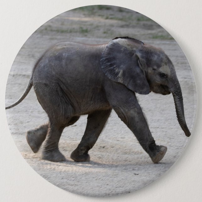 Badge Rond 15,2 Cm Eléphant bébé doux Kibali (Devant)
