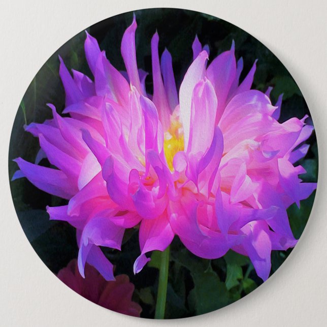 Badge Rond 15,2 Cm Étonnant Cactus rose et violet Dahlia (Devant)