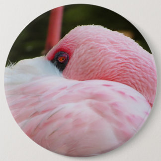 Badge Rond 15,2 Cm Flamant rose