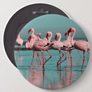 Badge Rond 15,2 Cm Flamants africains sauvages