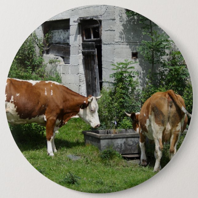 Badge Rond 15,2 Cm Fleckvieh soif (Devant)