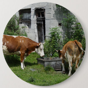 Badge Rond 15,2 Cm Fleckvieh soif